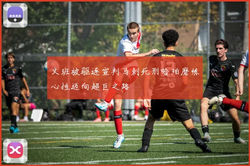 文班被驱逐宣判马刺死刑哈珀磨练心性迈向超巨之路