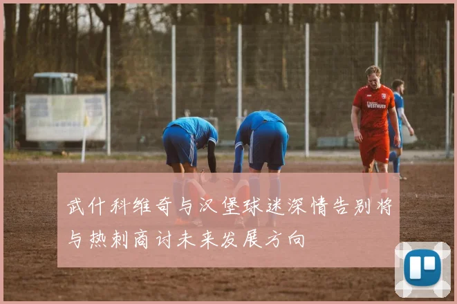 武什科维奇与汉堡球迷深情告别将与热刺商讨未来发展方向